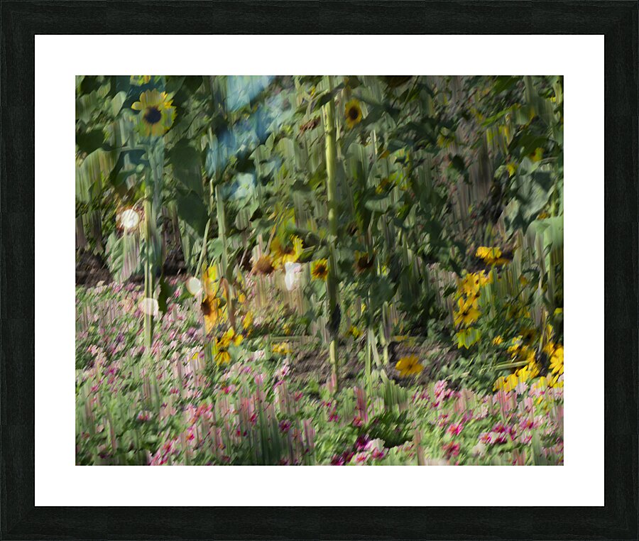 20240820 263 Picture Frame print
