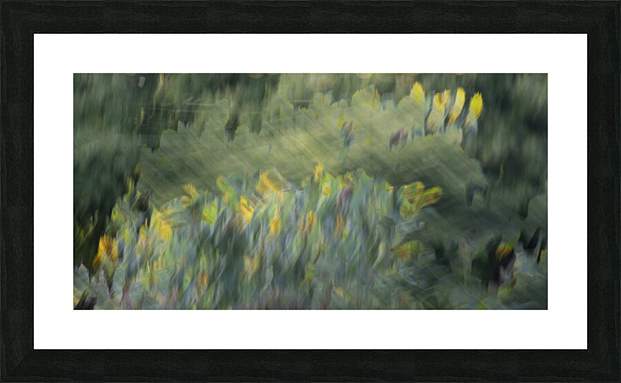 20240820 286 Picture Frame print
