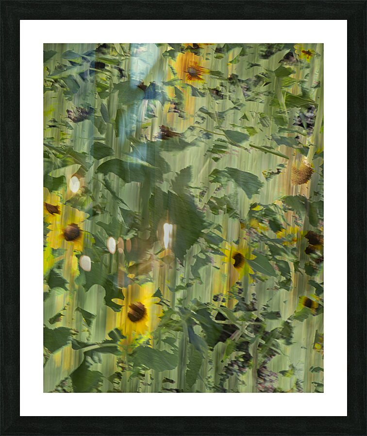 FS240820 6 Picture Frame print
