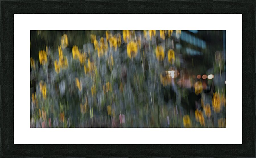 20240820 276 Picture Frame print