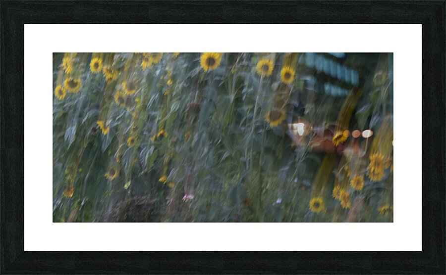 20240820 277 Picture Frame print