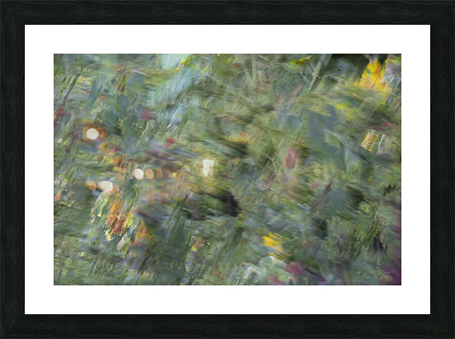 20240820 307 Picture Frame print