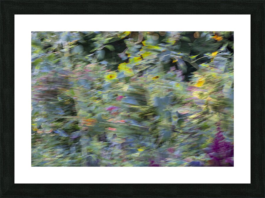 20240820 294 Picture Frame print