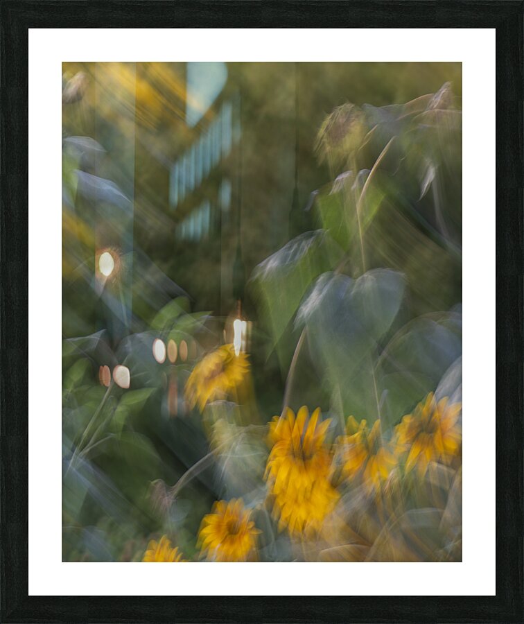 20240820 299 Picture Frame print