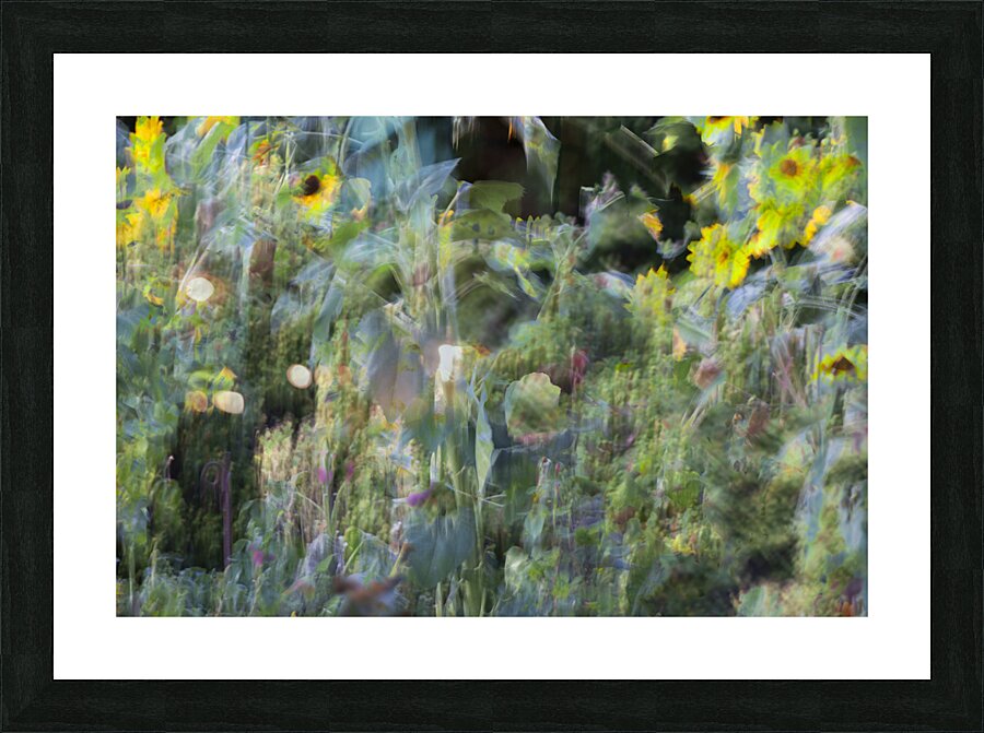 20240820 316 Picture Frame print