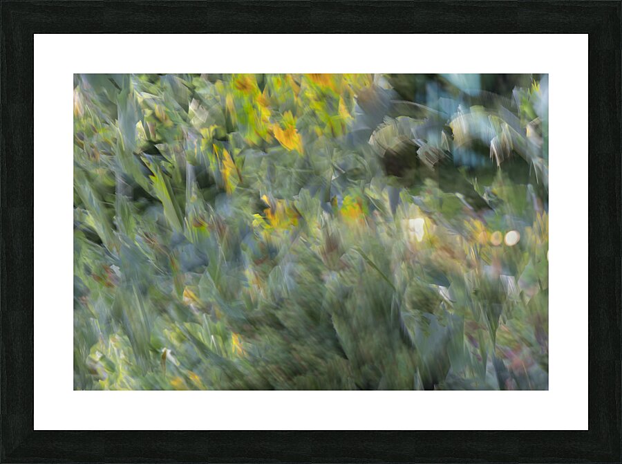 20240820 327 Picture Frame print