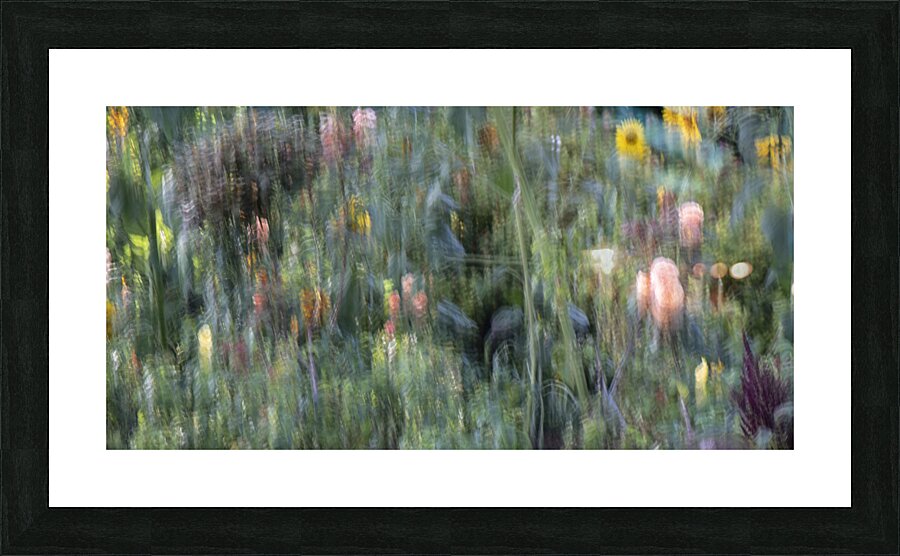 20240820 284 Picture Frame print