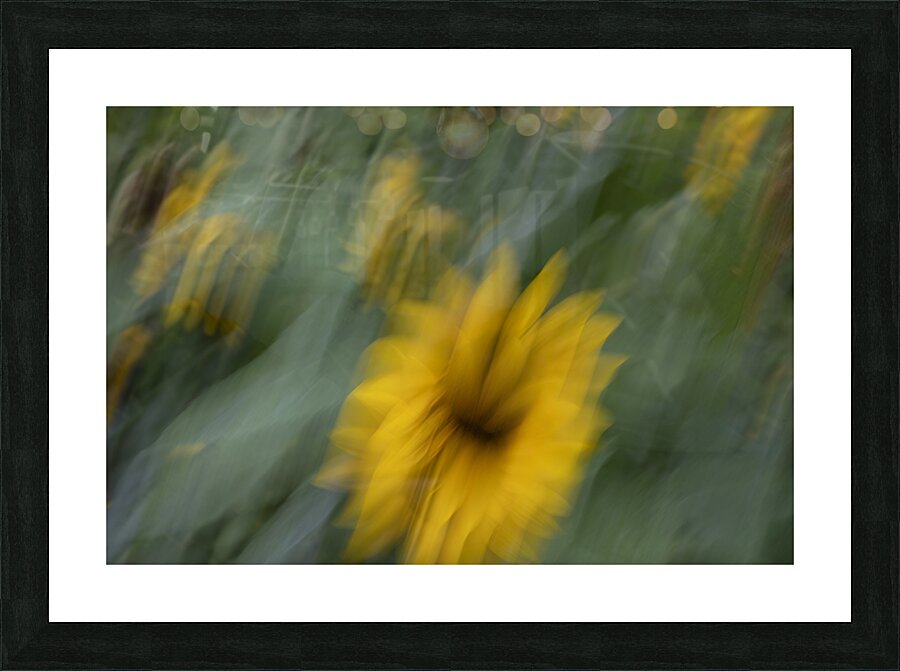 20240819 22 Picture Frame print