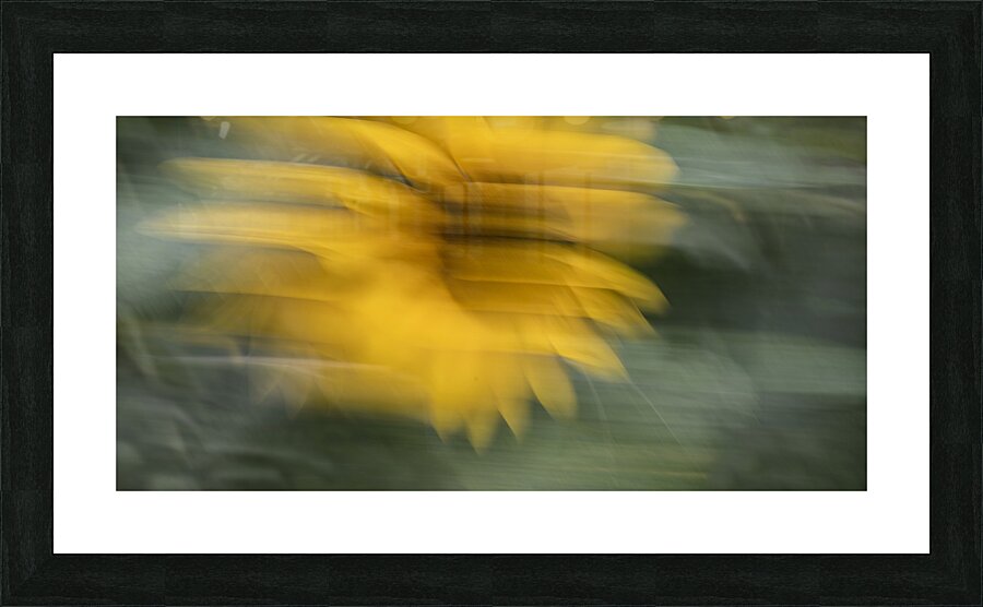 20240819 31 Edit Picture Frame print