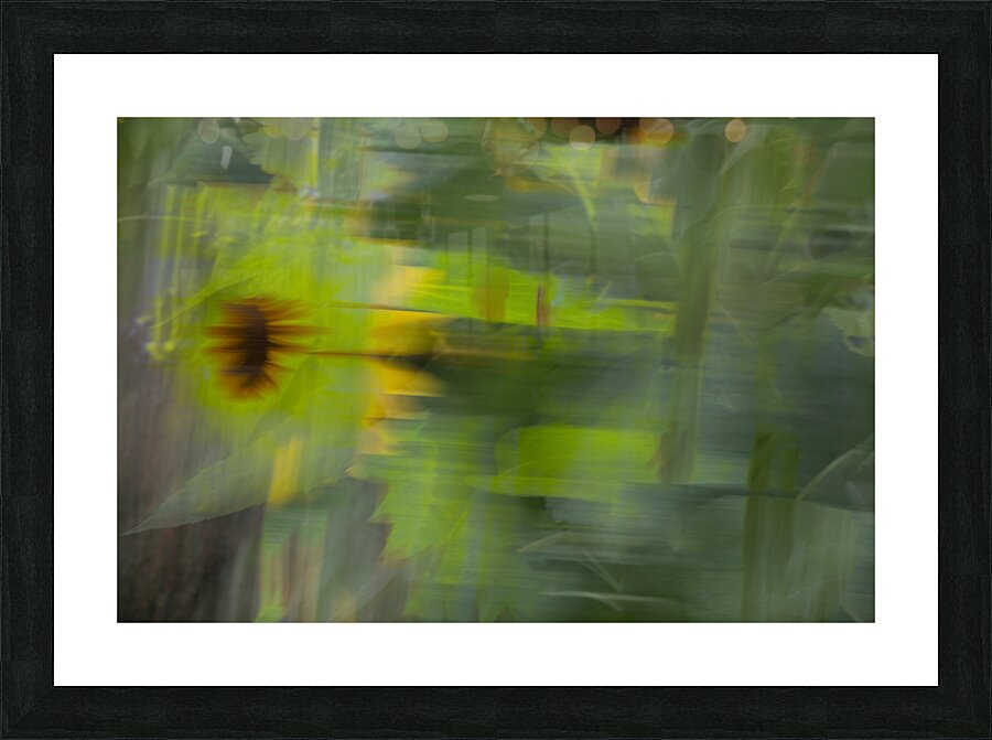 20240819 9 Picture Frame print