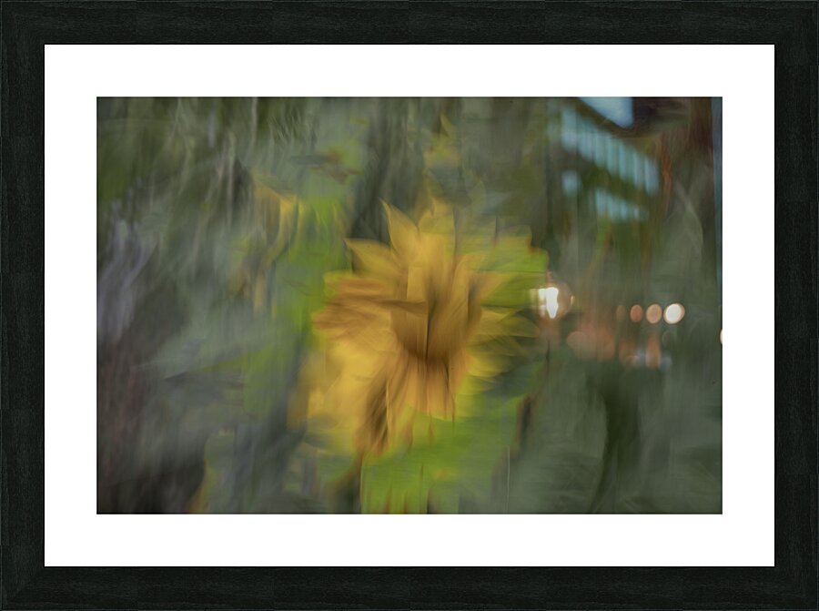 20240819 3 Picture Frame print