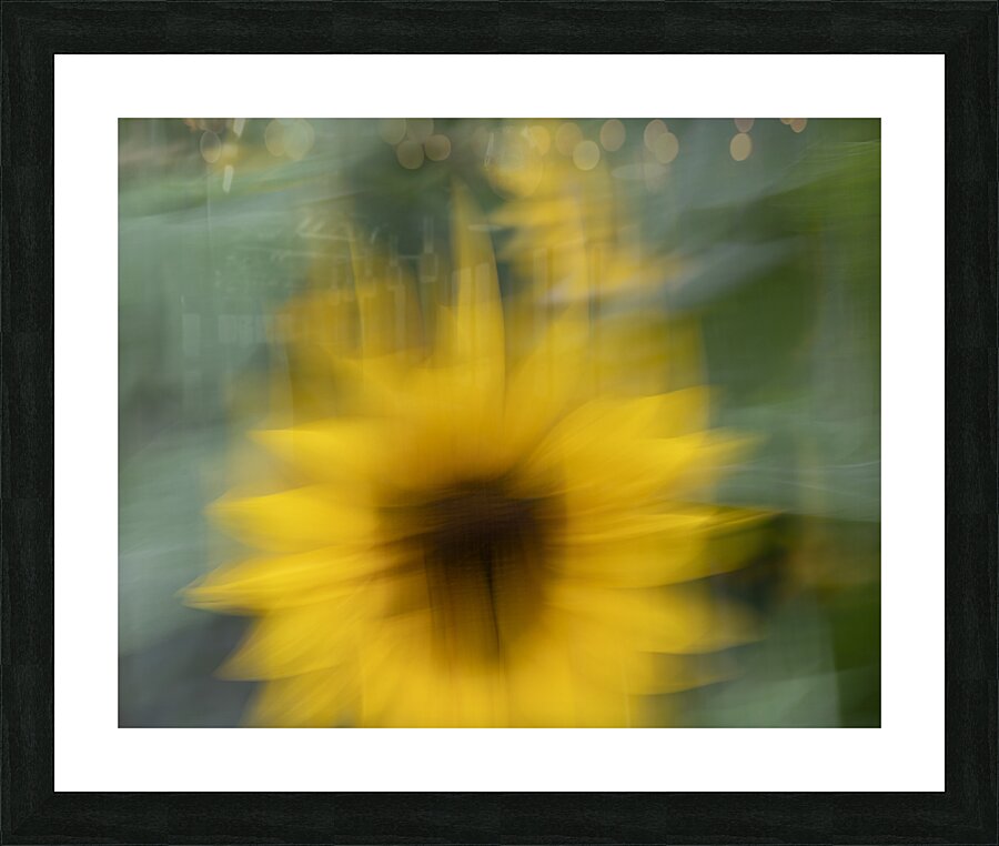 20240819 20 Picture Frame print