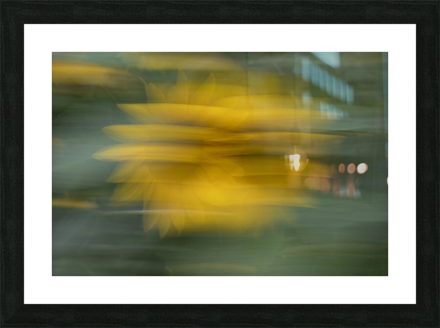 20240819 26 Picture Frame print