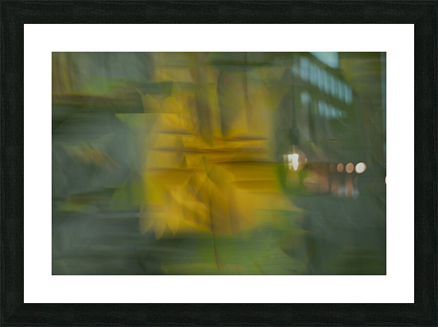 20240819 27 Picture Frame print