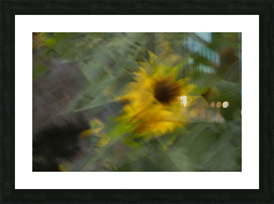 20240819 19 Picture Frame print