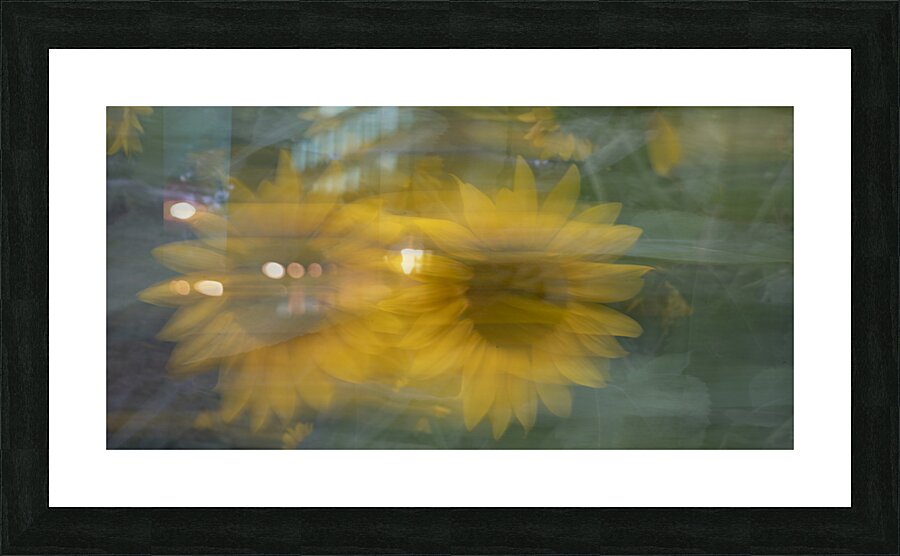 20240819 16 Picture Frame print