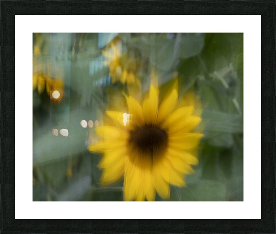 20240819 23 Picture Frame print