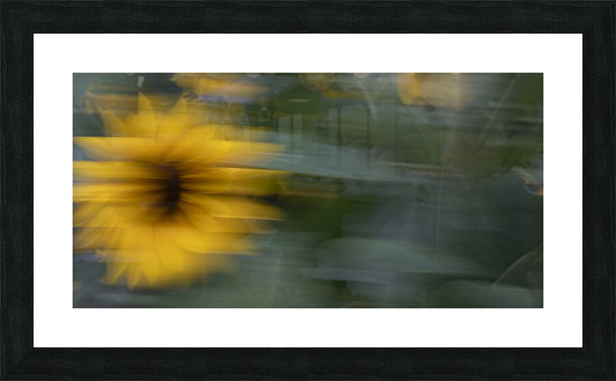 20240819 8 Picture Frame print