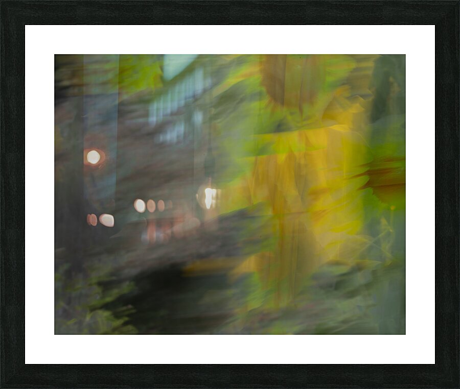 20240819 13 Picture Frame print