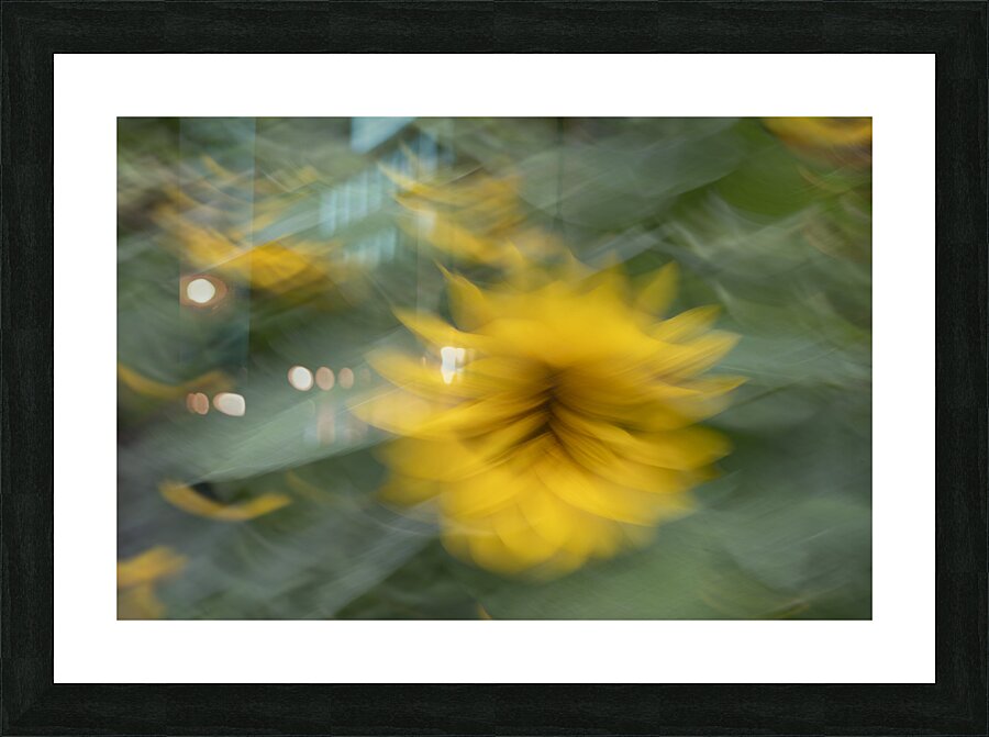 20240819 29 Picture Frame print
