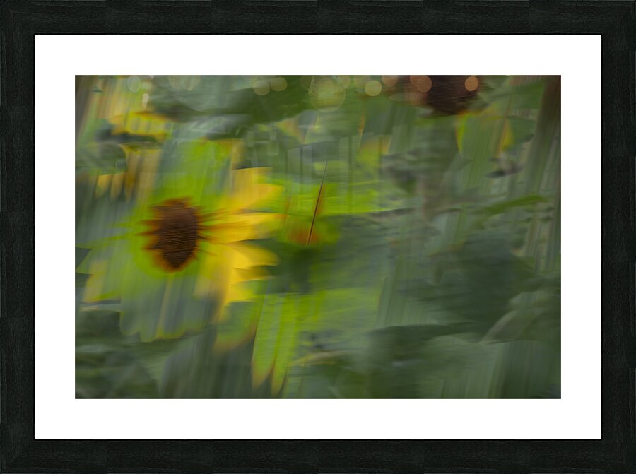 20240819 30 Picture Frame print