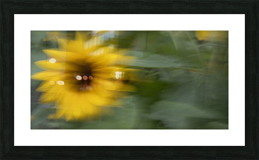 20240819 12 Picture Frame print