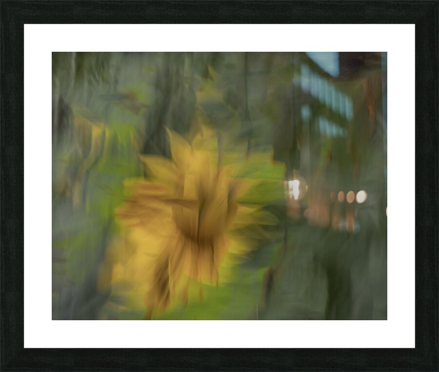 20240819 3 2 Picture Frame print