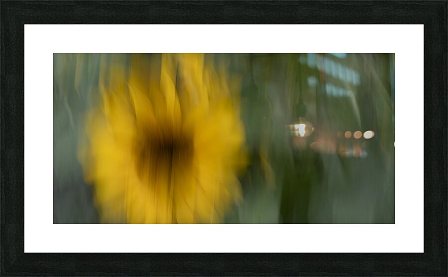 20240819 5 Picture Frame print