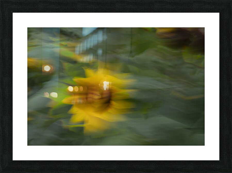 20240819 25 Picture Frame print