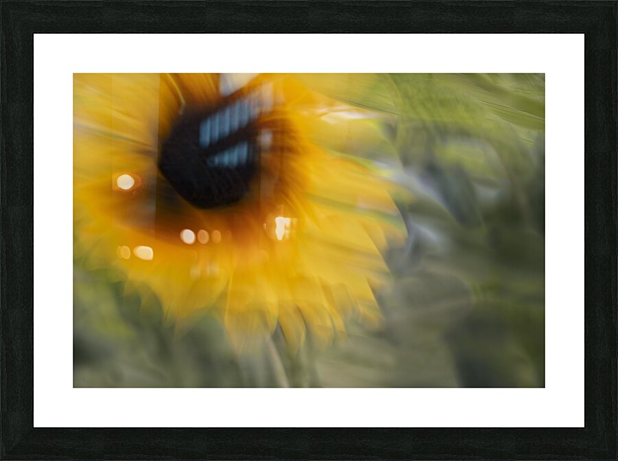 20240824 18 Edit Picture Frame print