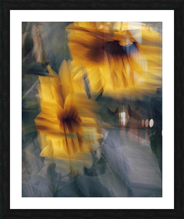 FS240824 502 Picture Frame print