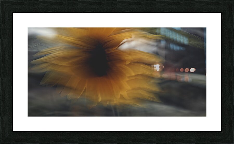 FS240824 2a Picture Frame print