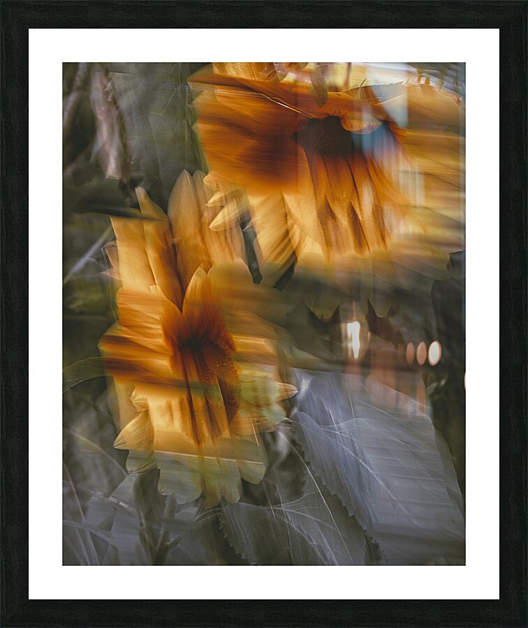 FS240824 501 Picture Frame print