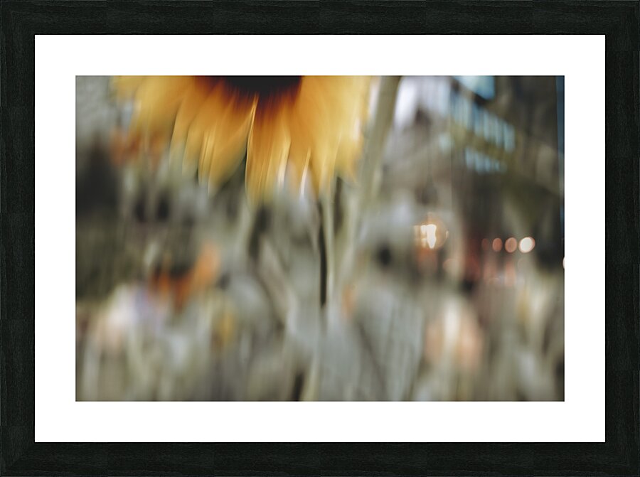 FS240824 23 Picture Frame print
