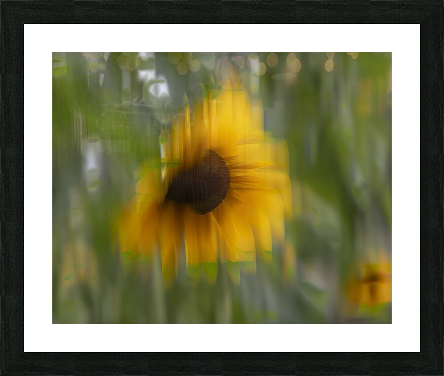 20240824 45 Picture Frame print