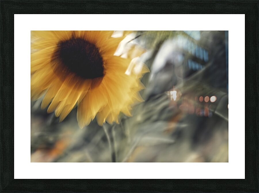 FS240824 13 Picture Frame print