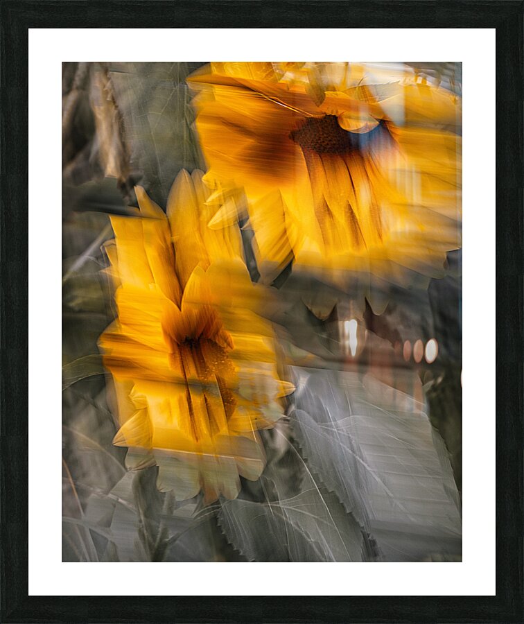 FS240824 500 Picture Frame print