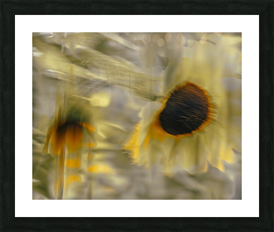 FS240824 44 Picture Frame print