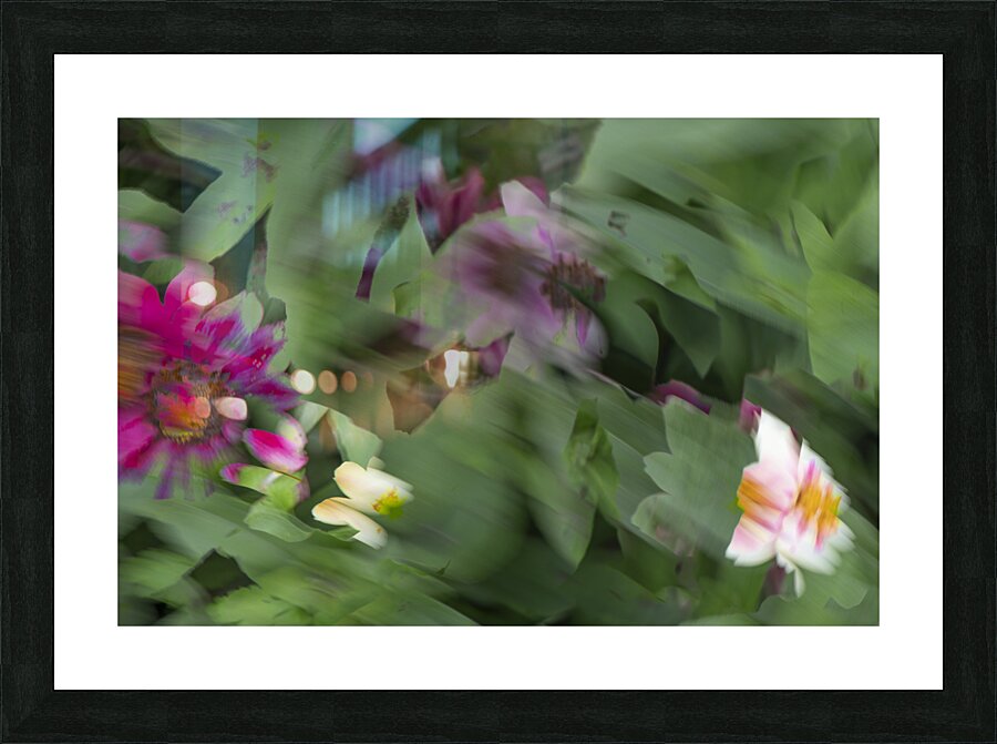 20240824 31 Picture Frame print