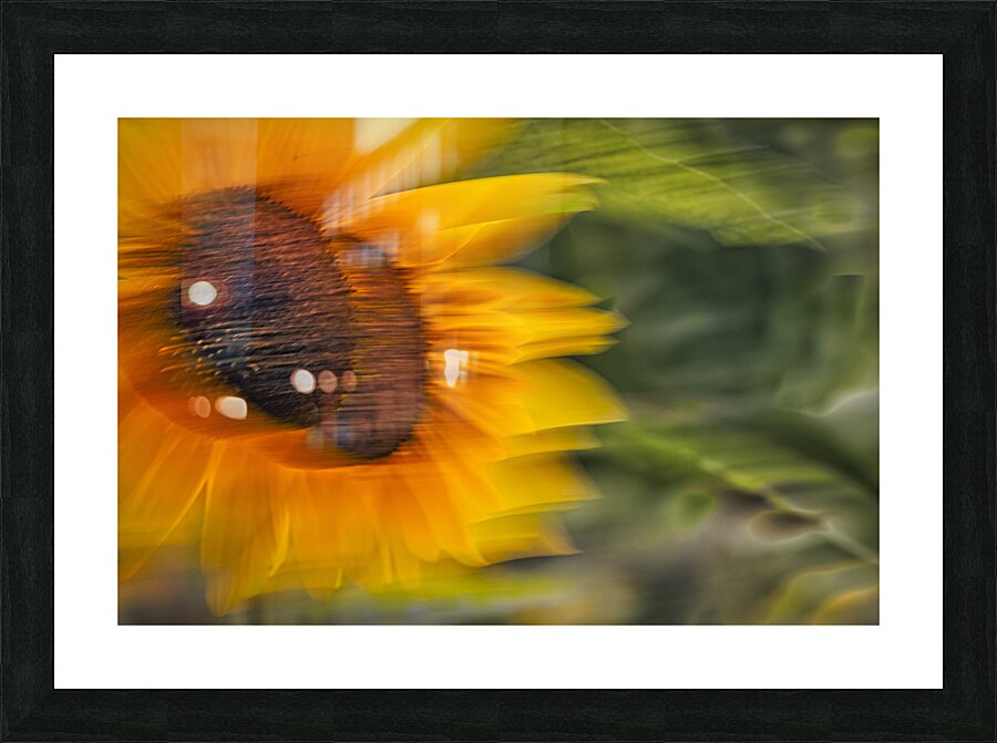 FS240824 46 Picture Frame print