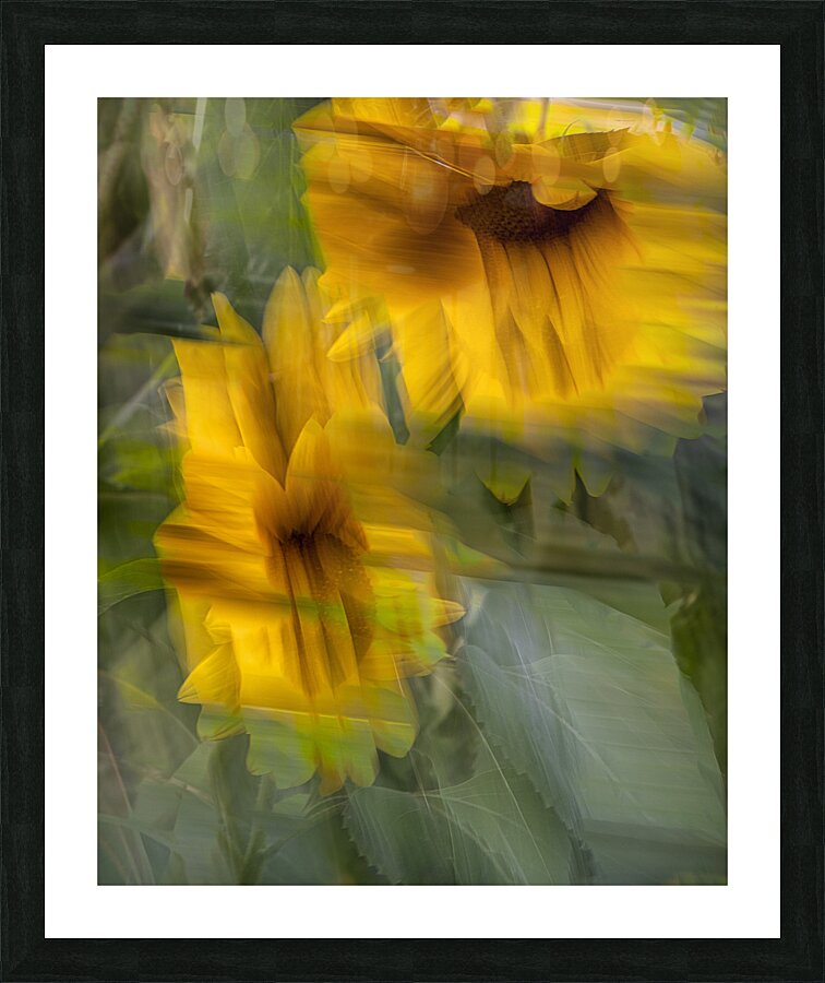 FS240824 50 Picture Frame print