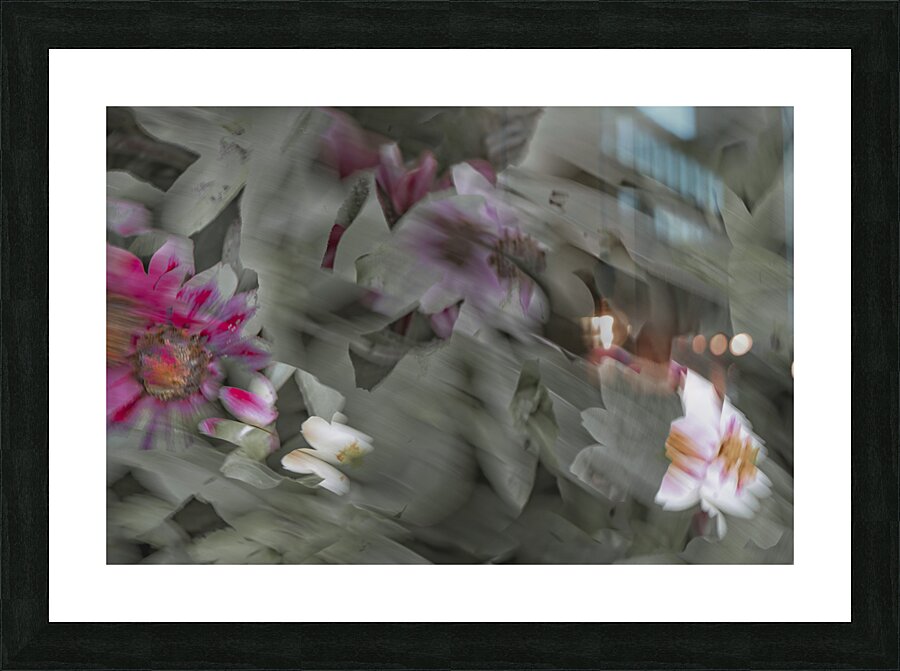 FS240824 310 Picture Frame print