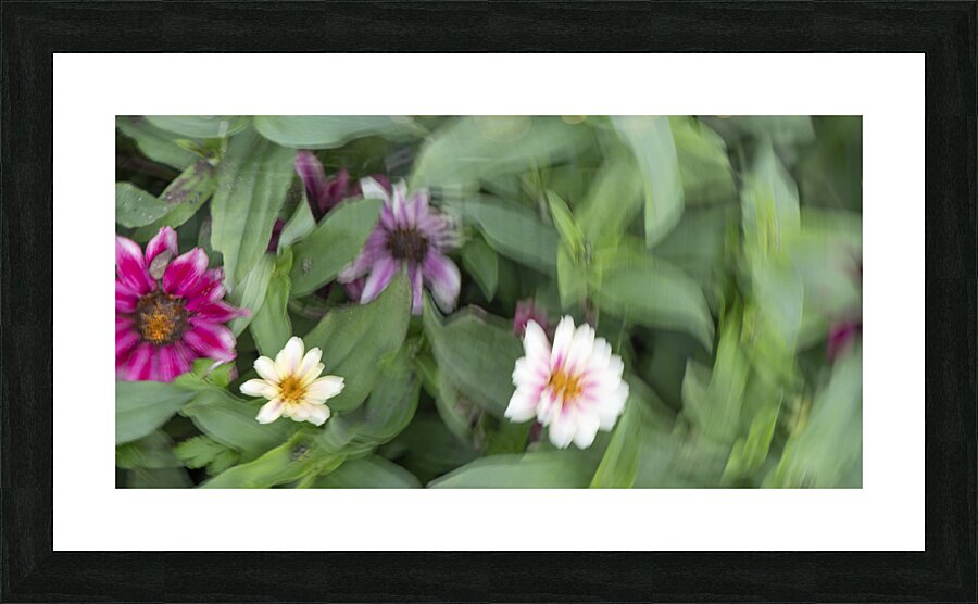 20240824 32 Picture Frame print