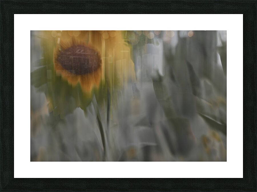 FS240824 21 Picture Frame print