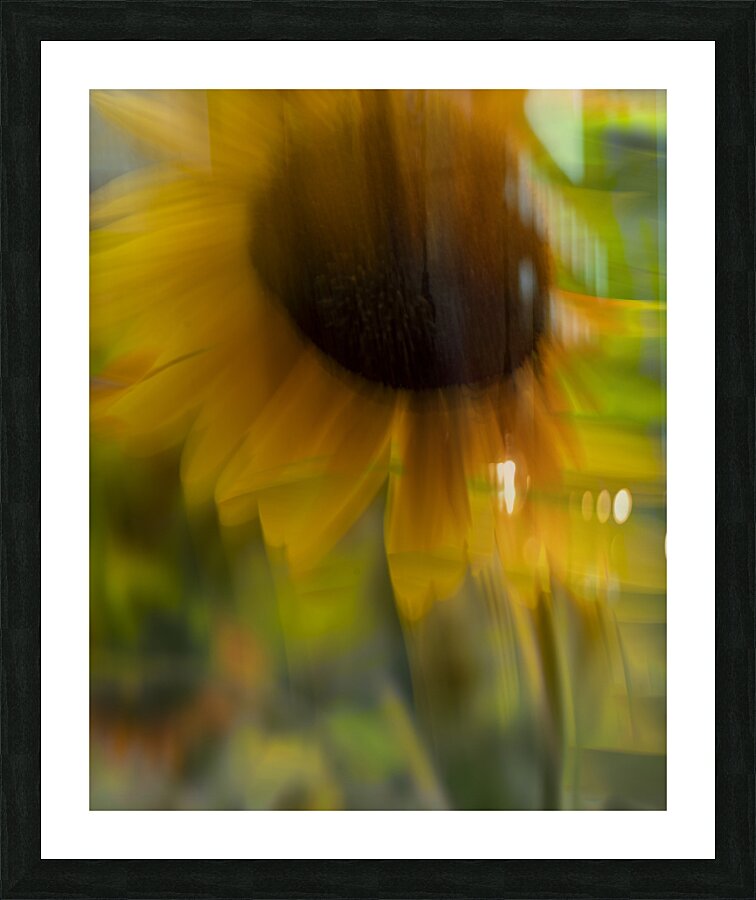 FS240824 5 Picture Frame print