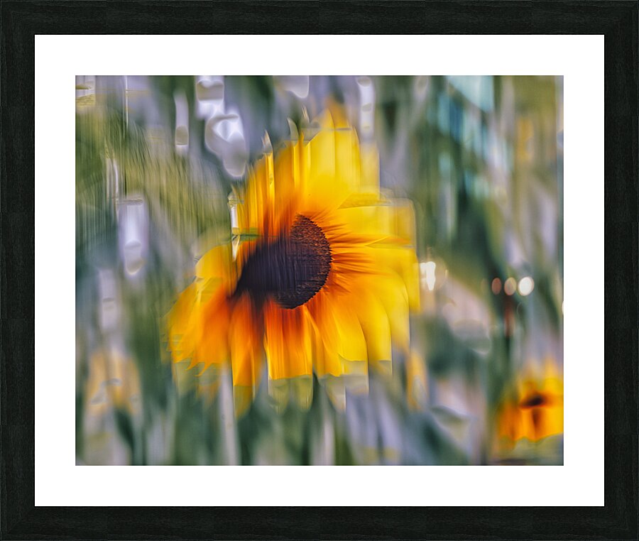 FS240824 450 2 Picture Frame print