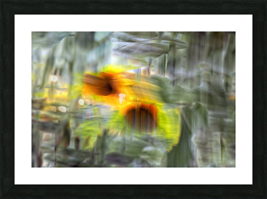 FS240824 410 Picture Frame print