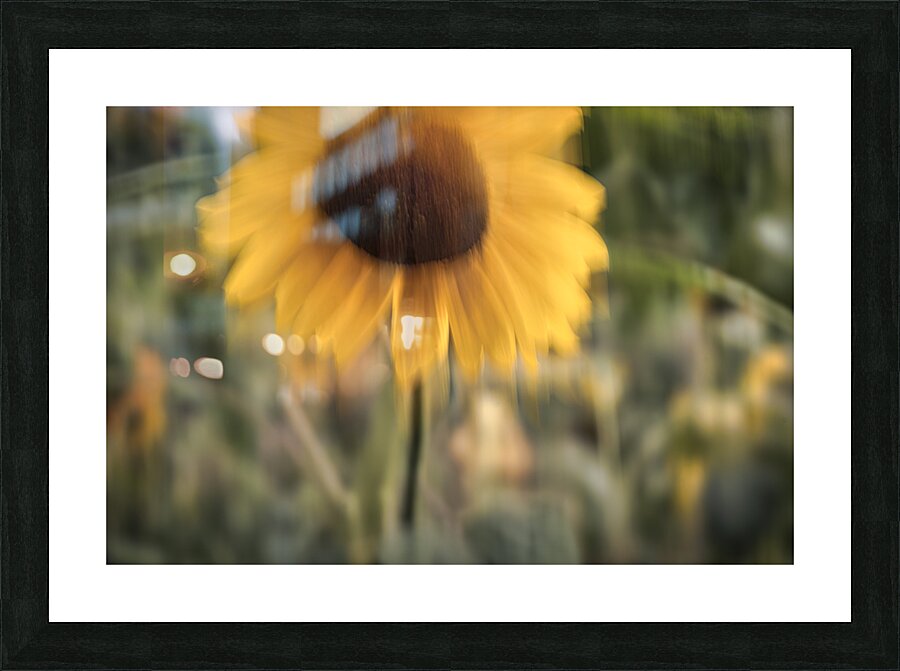 FS240824 47 Picture Frame print
