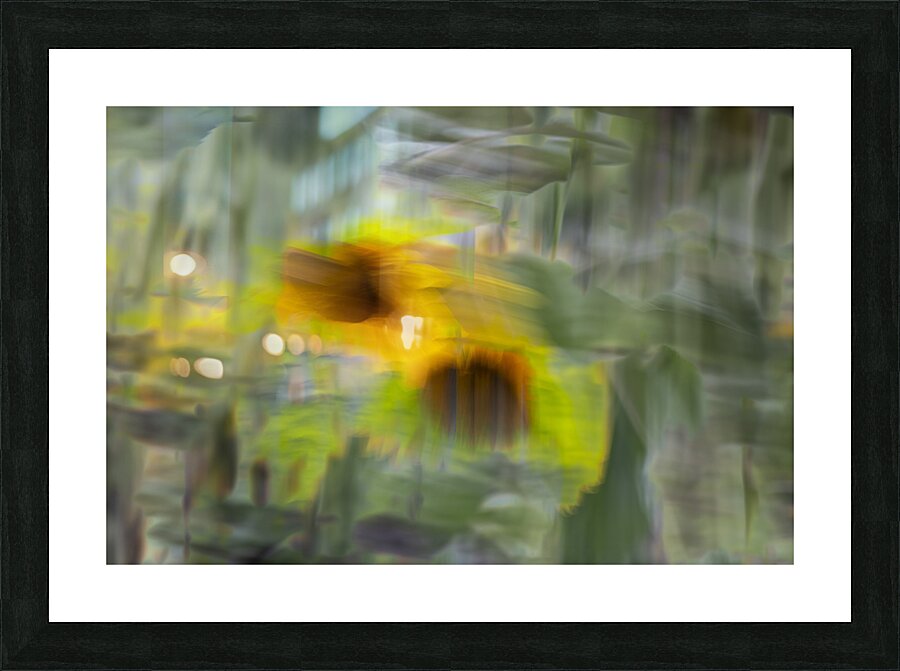 20240824 41 Picture Frame print