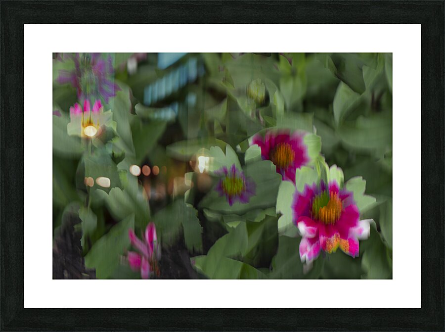 20240824 29 Picture Frame print